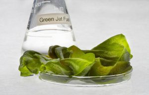 Clean fuel: algae and a beaker.