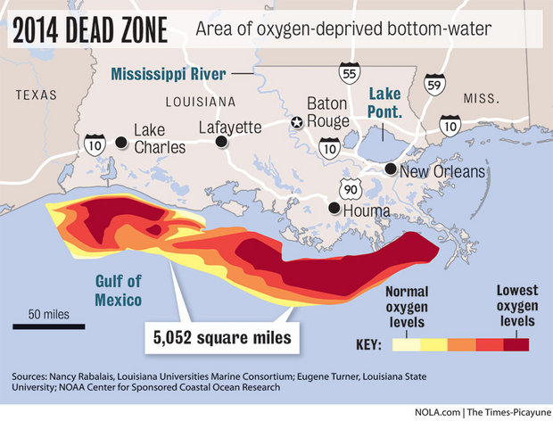 Spread of Gulf of Mexico dead zone 