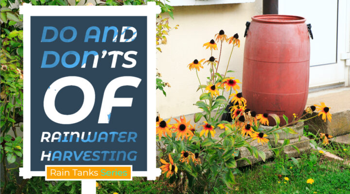 Rain Tanks | Do and Don’ts of Rainwater Harvesting