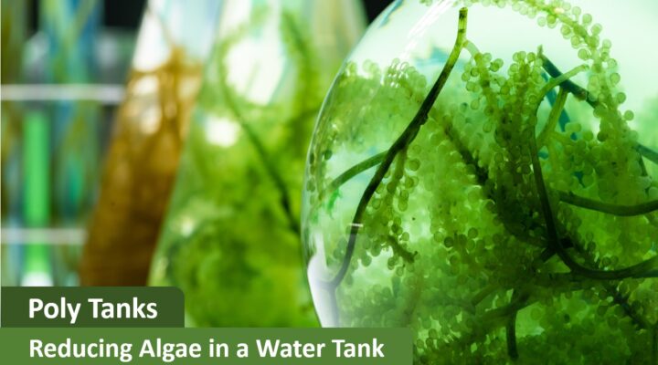 Poly Tanks | Reducing Algae in a Water Tank