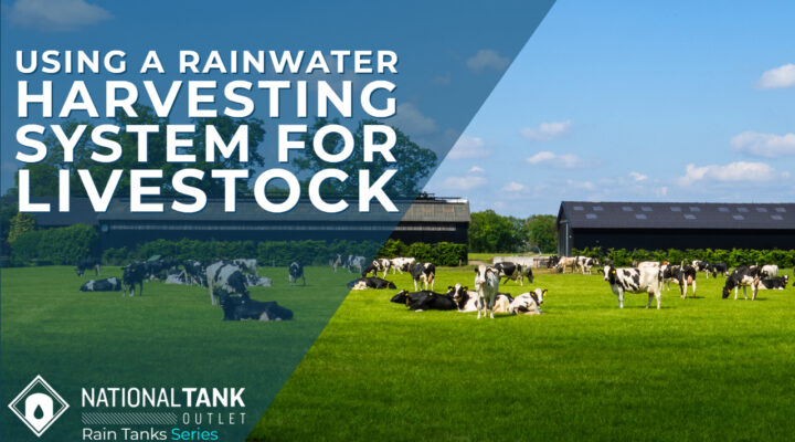Rain Tanks | Using a Rainwater Harvesting System for Livestock