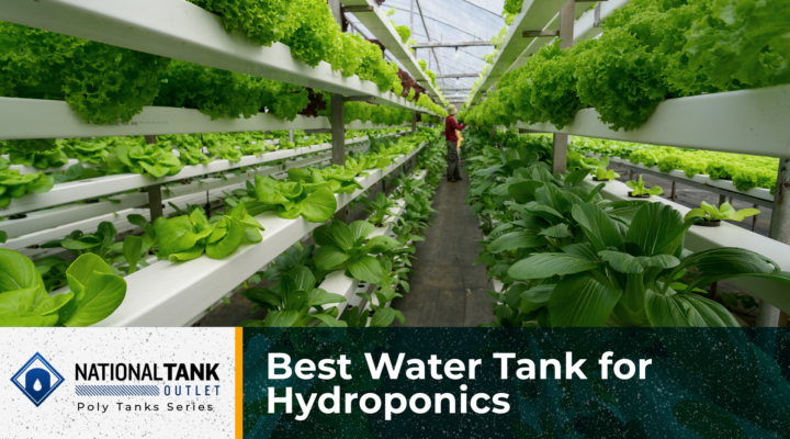 Best Water Tank for Hydroponics