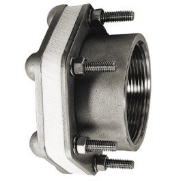 3" 316 SS Female NPT Bolted Fitting w/ XLPE Gasket