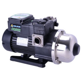 1 HP Walrus Electronic Control Pump