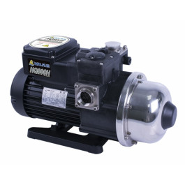 1 HP High Head Walrus Electronic Control Pump